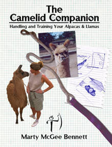 The Camelid Companion