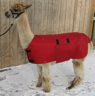 Alpaca Jacket Volwassen Medium Gewicht