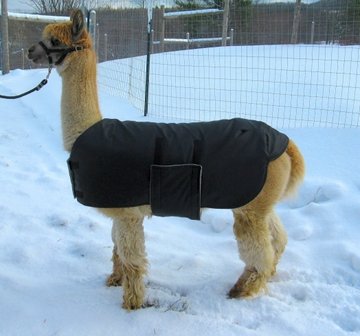 Alpaca Jacket Volwassen Medium Gewicht