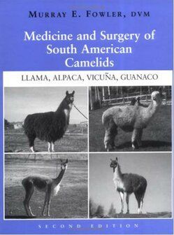 Medicine and Surgery