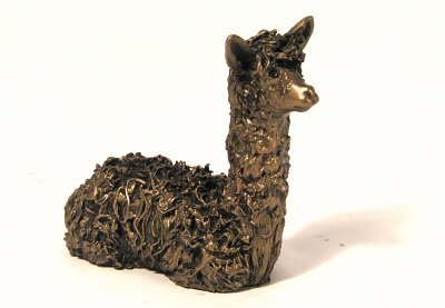 Alpaca cria zittend