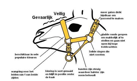 Alpacahalster met gekleurde neusband (set van 4)