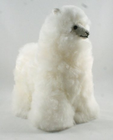 Alpaca knuffel wit