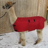 Alpaca Jacket Volwassen Medium Gewicht_
