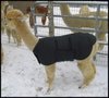 Alpaca-Jacket-Volwassen-Klein-Medium-Gewicht