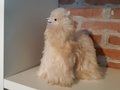 Alpaca-knuffel-crême