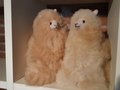 Alpaca-knuffel-beige