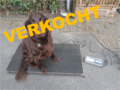 Vloerweegschaal
